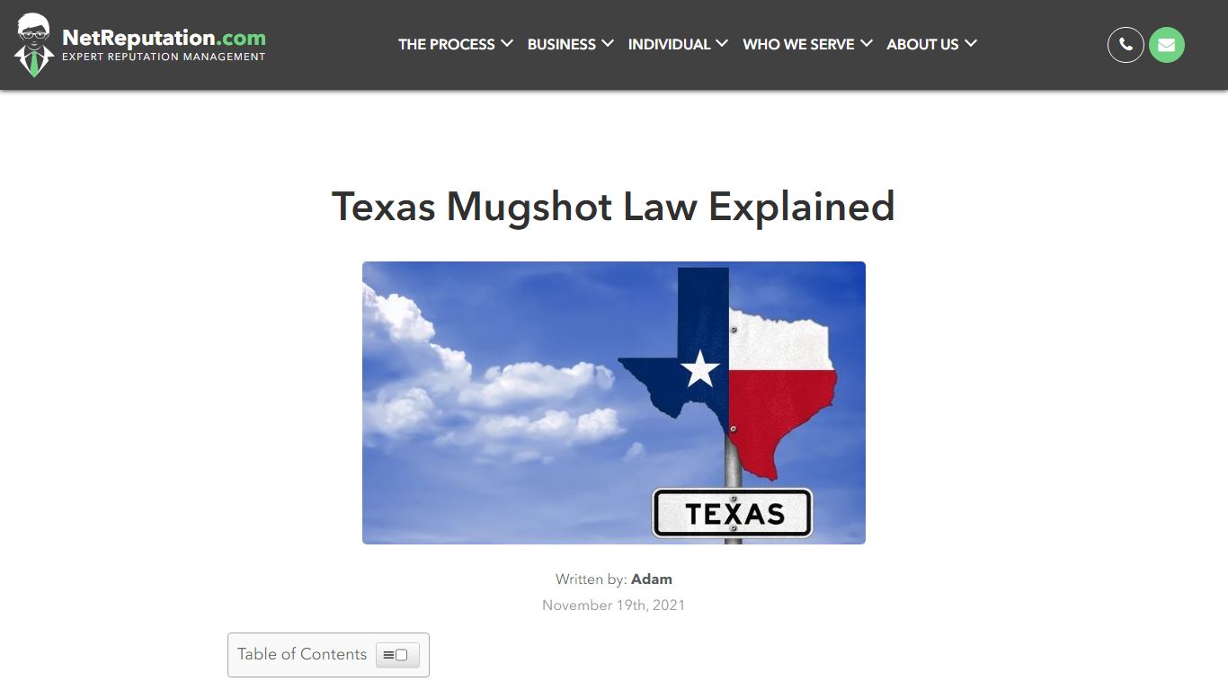 Texas Mugshot Law 101 | NetReputation - Online Reputation Management